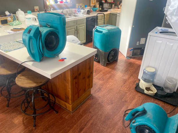 Best Carpet water damage restoration  in Belleair Beach, FL