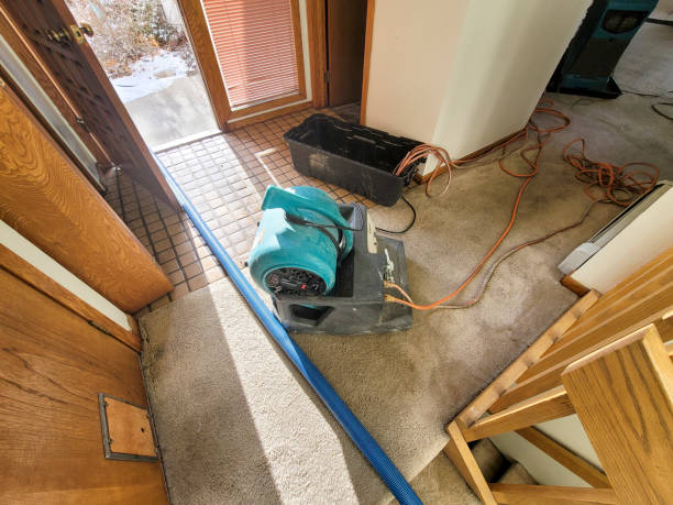 Best Emergency water damage restoration  in Belleair Beach, FL