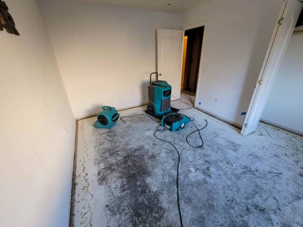 Best Flood restoration services  in Belleair Beach, FL