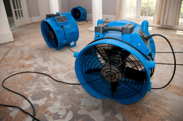 Best Local water damage restoration  in Belleair Beach, FL