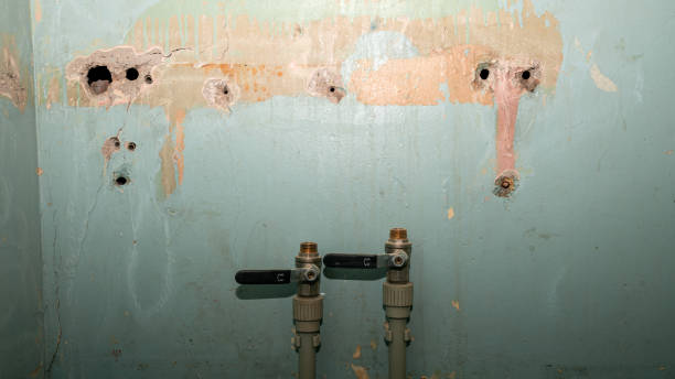 Best Water damage restoration near me  in Belleair Beach, FL